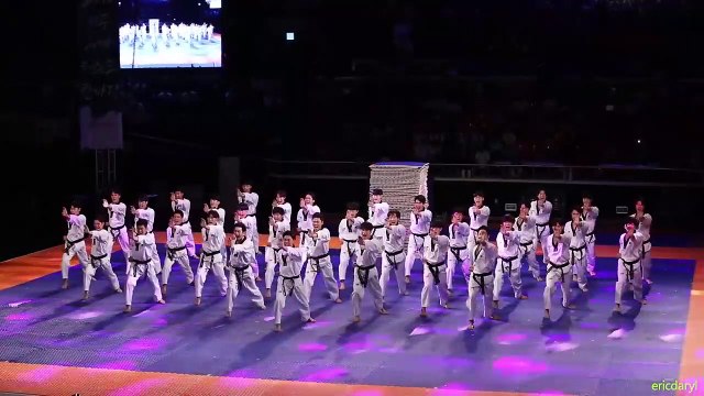 Màn trình diễn ấn tượng khiến dân mạng trầm trồ: Đỉnh cao của Taekwondo Hàn Quốc là đây