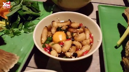 của miền Tây - đuông dừa: ăn là mê nhưng lại chẳng dành cho người nhát gan!