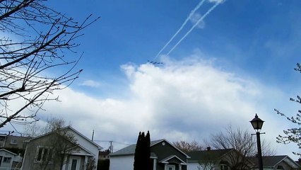 Les Snowbirds le 7 mai 2020