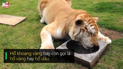 10 tấm ảnh chứng minh thế giới này có rất nhiều điều mà ta chưa biết