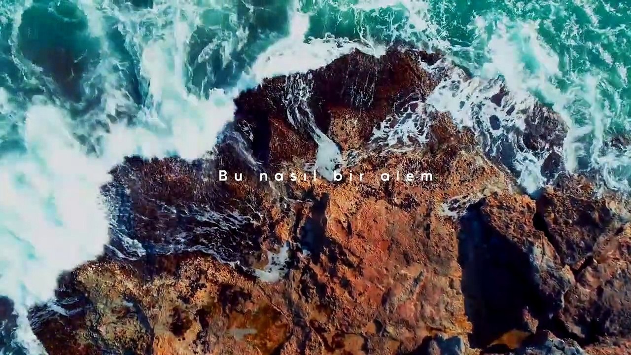 Mutlu Arı - Alem