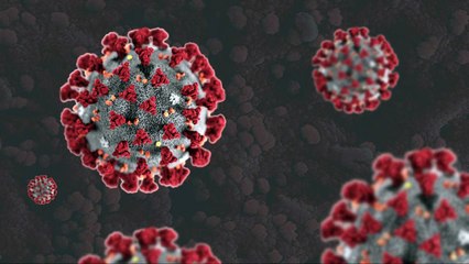 Chinese Man Carries Five Women On One Bike Disobeying The Protocol of Social Distancing