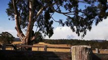 Huge Pyro-Cumulus Storm Cloud Generated by Bushfire Smoke