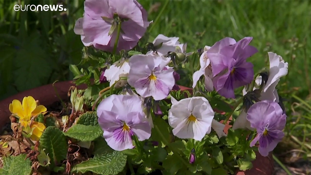 8. Mai 1945: Erinnerungen an das Kriegsende