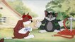 Sufferin' Cats! - Tom & Jerry - Kids Cartoon