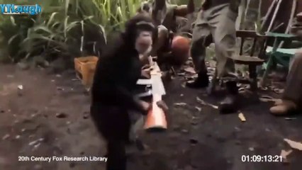 Most, funny video, Extreme funny clips 2020, Fun and entertainment