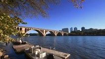 Can ‘mussel power' help clean up the Potomac River?