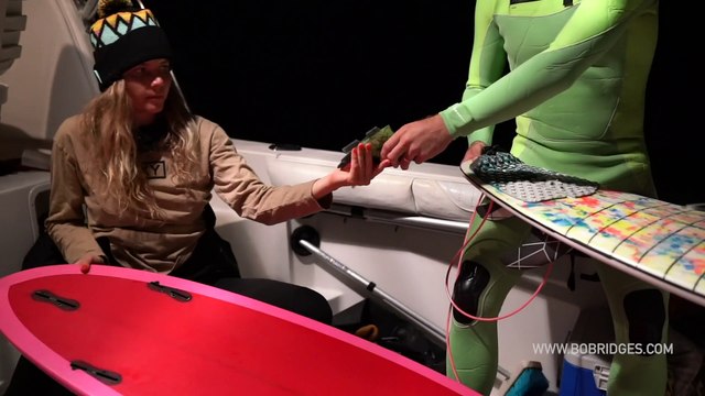 Surfers Explore the Beauty of Bioluminescence via Boat