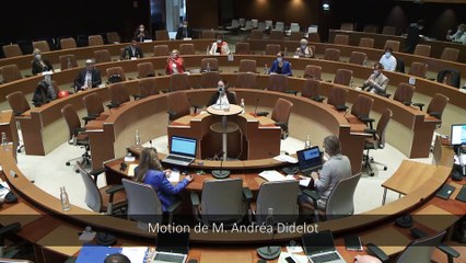 Conseil municipal du 4 mai 2020