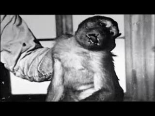 1418  1918 LA GUERRE MODERNE PARTIE 2