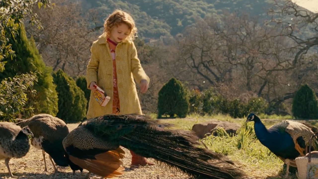 7est-Películas de acción y ciencia ficción puede disfrutar este fin de semana por Teletica-070520