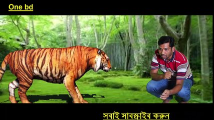 Trapped in a tiger trap