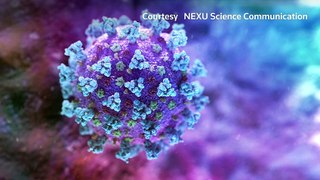What do studies on new coronavirus mutations tell us-update