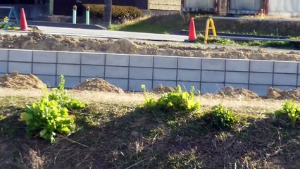 Random Boring Construction Video from Japan