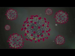 What do studies on new coronavirus mutations tell us?