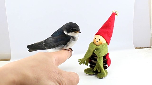 Thumbnail