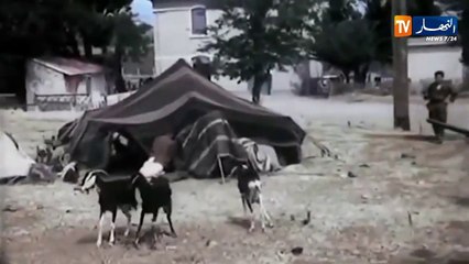 ذكرى 08 ماي 1945.. محطة فاصلة في تاريخ الجزائر