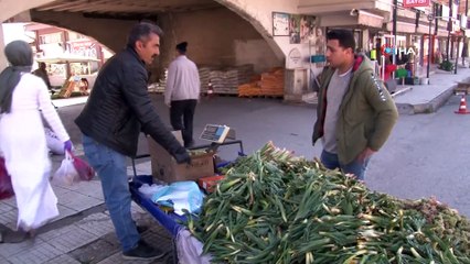 Dağlardan Toplanan Işkın Pazar Tezgâhlarında Yerini Aldı