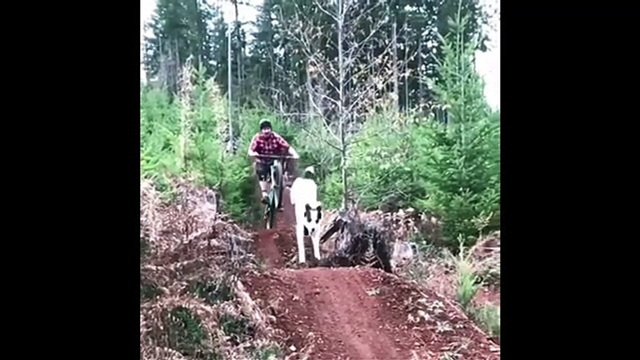 _ENDURO MTB MOMENTS 2020