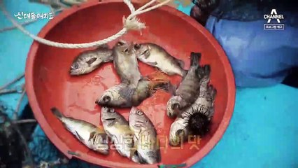 [예고] 1년 중 '50일'만 채취하는 죽순으로 억대 매출 올린 부부!