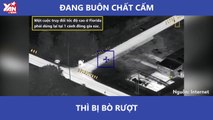 Đang buôn chất cấm thì bị bò rượt