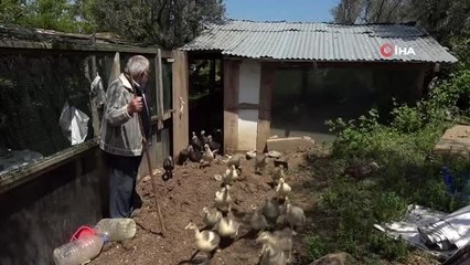 Yaşlı adama büyük şok...Silah zoruyla attığı imza 20 milyonluk mal varlığından edecek