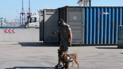 İzmir’de rekor operasyon: 37 milyon makaron ele geçirildi