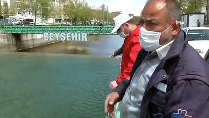 Balıklar yaşama tutunabilmek için tersine göç etmeye çalışıyor