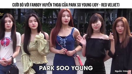 Cười Bò Với Fanboy Huyền Thoại Của Park So Young (Joy - Red Velvet)
