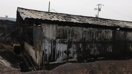 전북 익산 돼지 축사에서 불...3억5천만 원 피해 / YTN