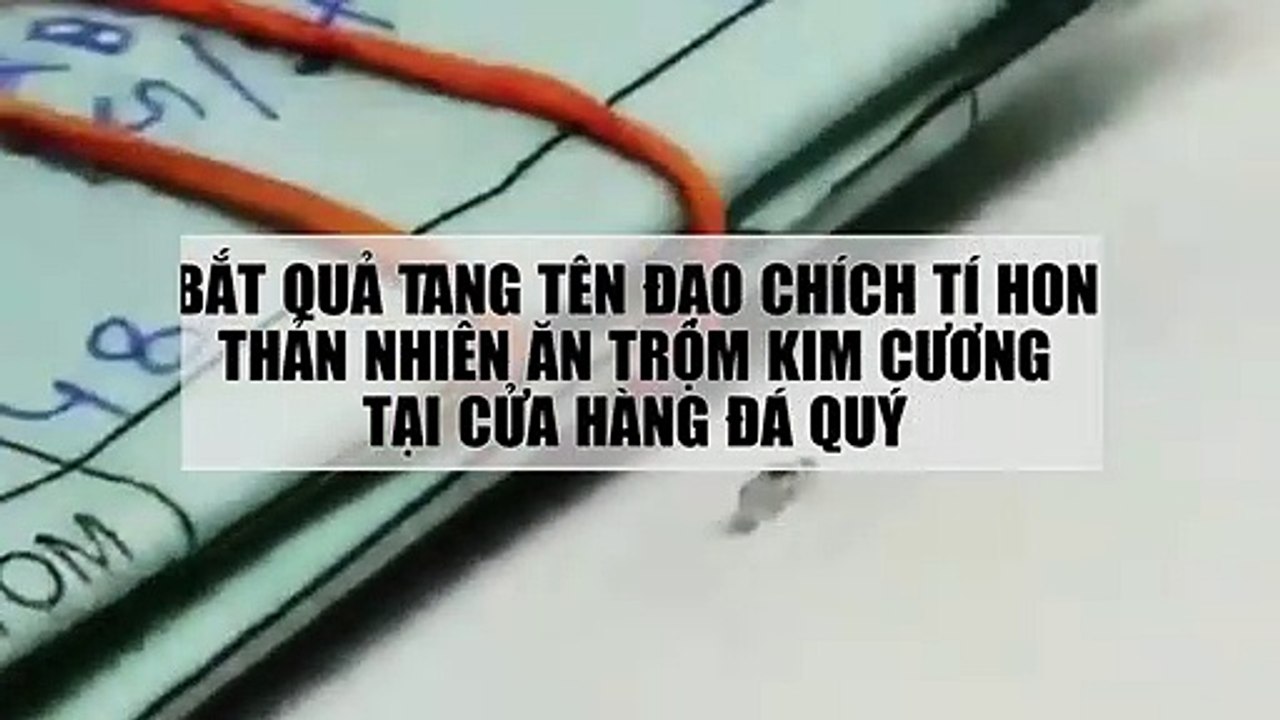 Bắt quả tang tên đạo chích tí hon thản nhiên ăn trộm kim cương tại cửa hàng đá quý
