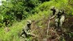 Colombia steps up coca eradication operations during lockdown
