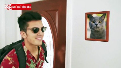 Hóa ra khi ‘sen’ vắng nhà, các ‘boss’ mèo đều nghịch như cậu giời con thế này!