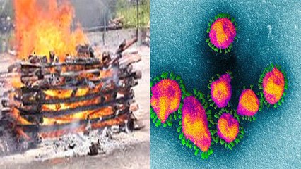 जानें मृत व्यक्ति के शरीर में कब तक जिंदा रहता है Coronavirus, दफनाना या जलना क्या है सही?  |Boldsky