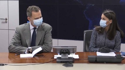 Los Reyes salen de Palacio para visitar la REE