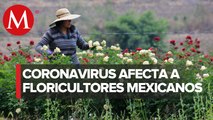 Venta de flores para el 10 de mayo cae 80%; en Edomex van a la basura