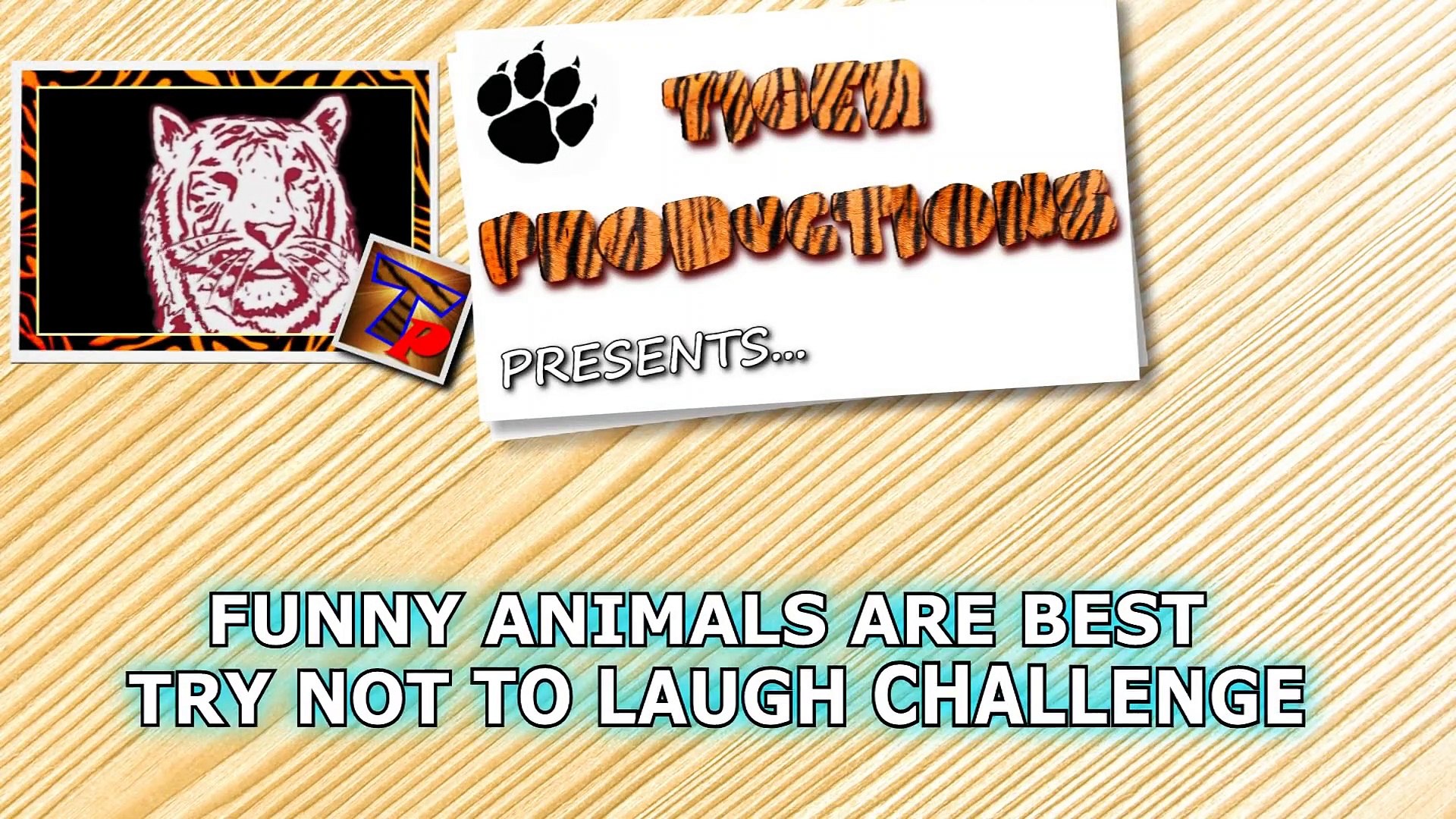 Funny animals are best try not to laugh challenge - video Dailymotion