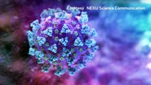 What do studies on new coronavirus mutations tell us-
