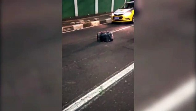 Denarc apreende mais de 1 tonelada de maconha e prende quatro pessoas em Foz do Iguaçu