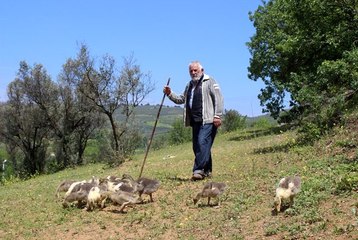 Yaşlı adama 20 milyonluk şok