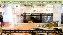 Houtong - Thiên đường du lịch dành cho người yêu mèo