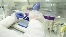 València detectará el rastro de coronavirus en aguas residuales