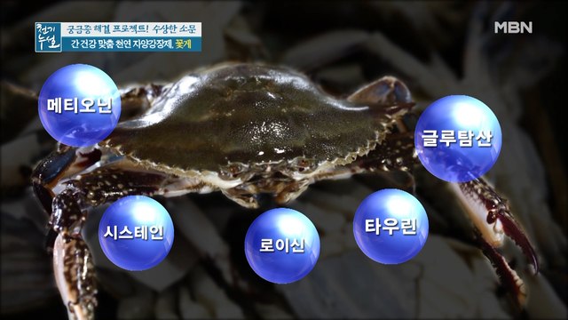 간 건강 지키는 봄철 여왕! 바닷속 천연 자양강장제 [꽃게]