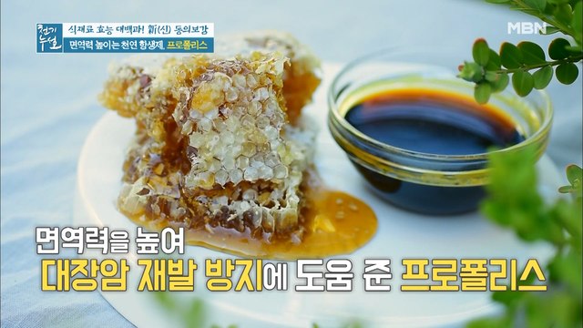 면역력 높이는 천연 항생제가 있다? 동서양이 사랑한 검은 다이아몬드 [프로폴리스]