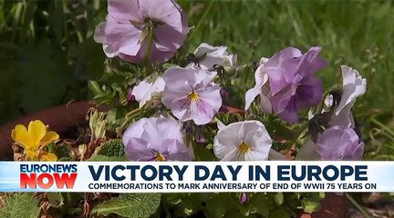 VE Day: A locked down Europe commemorates as best it can