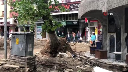 Çınar ağacı binanın üzerine yıkıldı