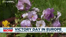 VE Day: A locked down Europe commemorates as best it can