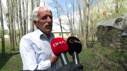 Yılanlar evi bastı