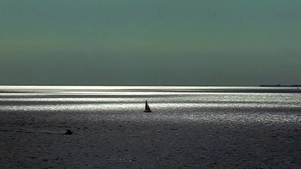 Millions (and Millions) of Memories - Tráiler