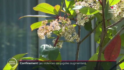 Alpes-Maritimes : des hôtels réquisitionnés pour les victimes de violences conjugales